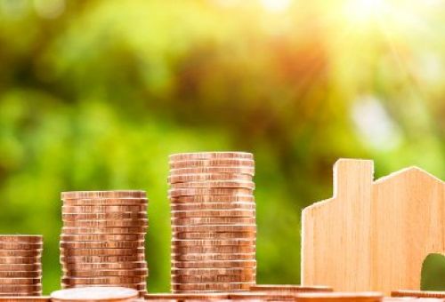 Defensa frente a las hipotecas multidivisa opacas Defensa frente a las hipotecas multidivisa opacas