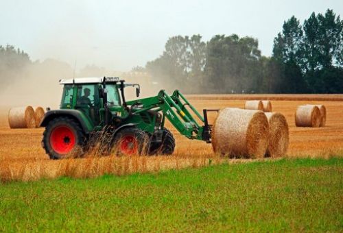 Derecho Agrario y Ganadero en Valladolid