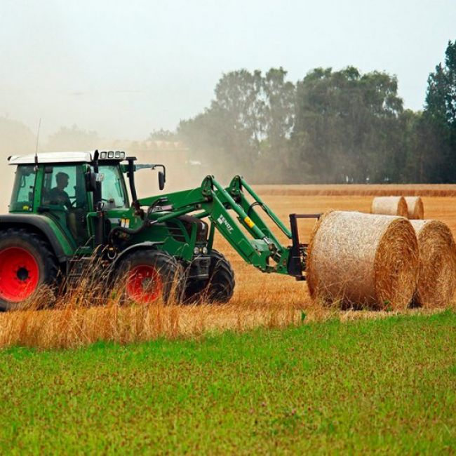 Derecho Agrario y Ganadero en Valladolid